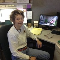 Terra Diamond Ind Employee Ava Carter's profile photo