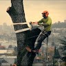 Pacific Tree Care Employee Pacwest Tree's profile photo