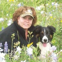 Diane Lee Email & Phone Number