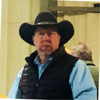 Bill Hankins