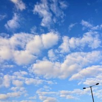 Everbright Securities International Employee Phoebe Cheng's profile photo