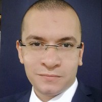 Rödl Middle East Employee Hamdy Fathi's profile photo