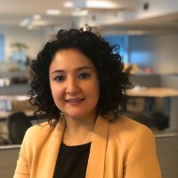 ING Türkiye Employee Esin Önal's profile photo