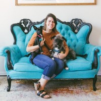 One Tail at a Time Employee Alli Rooney's profile photo