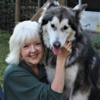 Legacy at Highwoods Preserve | Assisted Living and Memory Care Employee Deborah Connell's profile photo