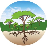 APAF (Associations pour la promotion des arbres fertilitaires en agroforesterie  Employee Pascal Humbert's profile photo