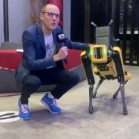 Anthony Morel Email & Phone Number