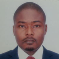 Babafemi Onanuga Email