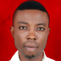 Nkem Isibor Email