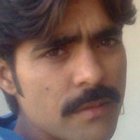 Yasir Amin Email