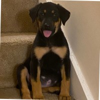 Kudzu Medical Employee Delicia Rice's profile photo