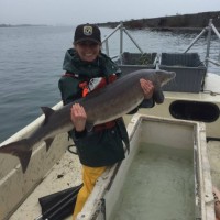 Stephanie Beer Email