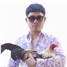 Lance Tay Email