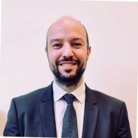 Davide Introzzi Email