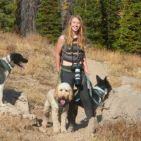 Heidi Baxter Email & Phone Number