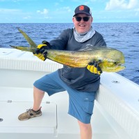OEBIN Ltd. Employee David Emond's profile photo
