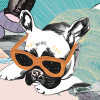 Petipet Employee Daniel Marino's profile photo