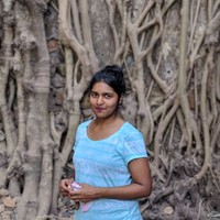 Smita Burkul Email