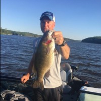 Curt Barsness Email & Phone Number