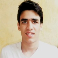 Badgewell Employee Hussein Shaltout's profile photo