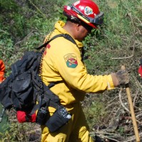 The Forestry and Fire Recruitment Program Employee Chris Carrera's profile photo