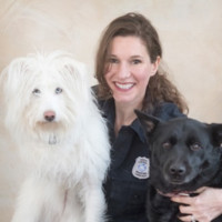 Town Of Branford Employee Laura Burban's profile photo