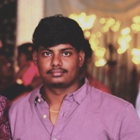 Palis Eco Vehicles Pvt Ltd Employee Nandeesha L's profile photo