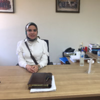 Alex Web Employee Pasant Osama's profile photo