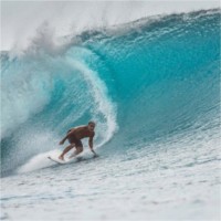 TripOutdoor Inc. Employee Billy Stade's profile photo