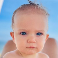 Casey van Sice Email & Phone Number