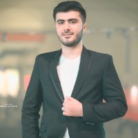 Mohammad Sommakia Email