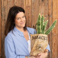 ZEB Employee Julie Lestabel's profile photo