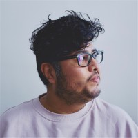 Diego Fernandez Email & Phone Number