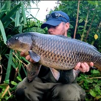 The Stickleback Fish Co. Ltd Employee Scott Grogan's profile photo