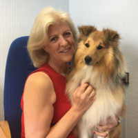 Kings Recruitment Consultants Employee Sharon Hopkins's profile photo