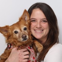 Factify Employee Ariel Shulman's profile photo