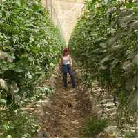 Tricar Sales Inc Employee Denisse Mercado's profile photo