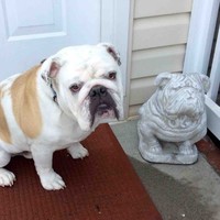Excel Heating & Cooling Employee Matt Boykin's profile photo