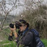 Celtro Employee Yossi Tamir's profile photo