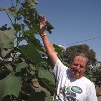 Emerald Energy Employee Ray Allen's profile photo