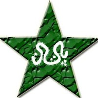 LogoDesignGuru Employee Tahir Anjum's profile photo