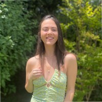 Drazer Employee Noam Kipnis's profile photo