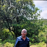 Melco Conveyor Equipment (Rulmeca) Employee Azwinndini Tshikhudo's profile photo