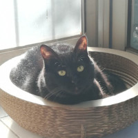 Ada J. Email