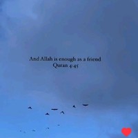 Techinn360 Employee Syeda Bukhari's profile photo