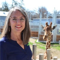 Cynthia McCarvel Email & Phone Number
