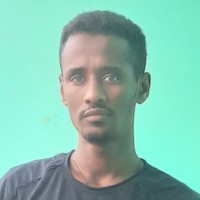 Dejene Ababelew Email