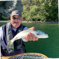 Larry Mitchell Email & Phone Number