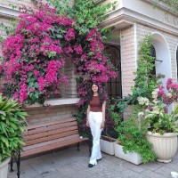 Nanoheal Employee Sheril Rastogi's profile photo