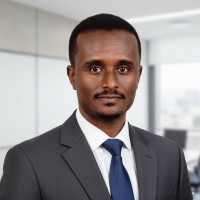 Ahmed Abdin Email